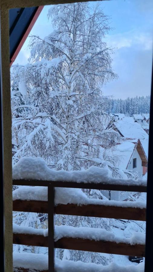 Borovnica Sweet Apartments Zabljak  Bagian luar foto